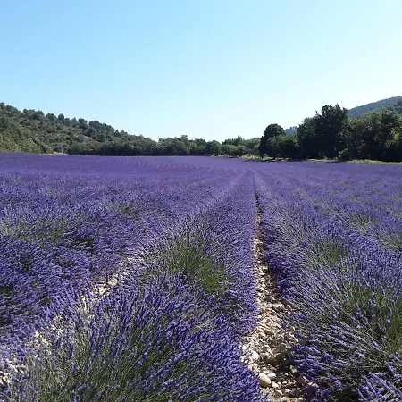 Bord Verdon T2 Maisonnette 35m2 Climatisation - Terrasse 25m2-classe 3etoiles *